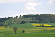 Blick auf die Gelbe Bürg bei Sammenheim